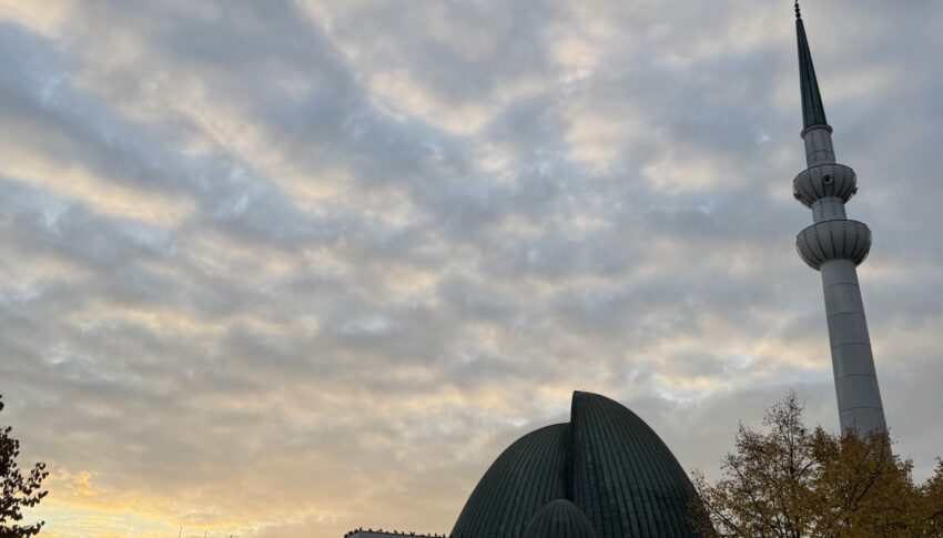 Zagrebačka vaktija za studeni / novembar 2025