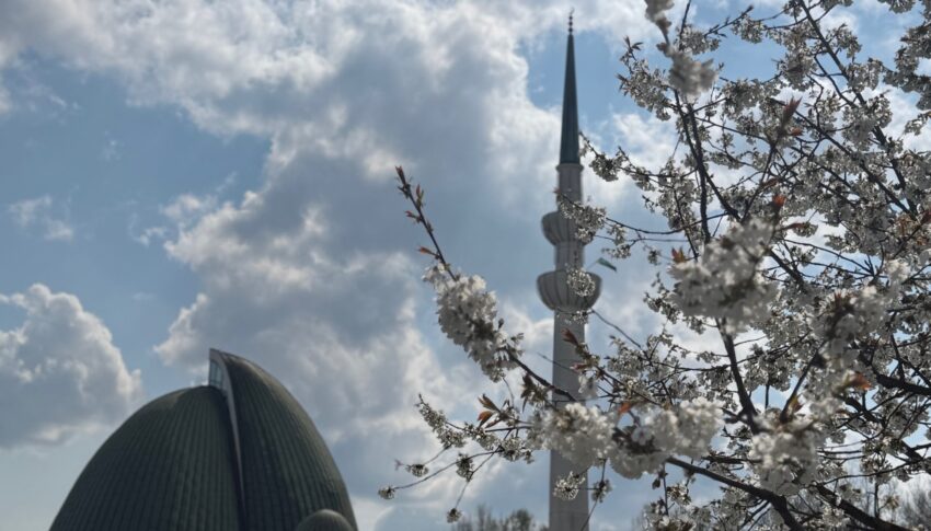 Vaktija za travanj / april 2026